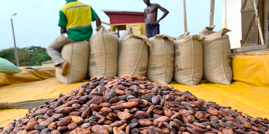 Fève de cacao, homme assis sur des sacs de cacao en fond