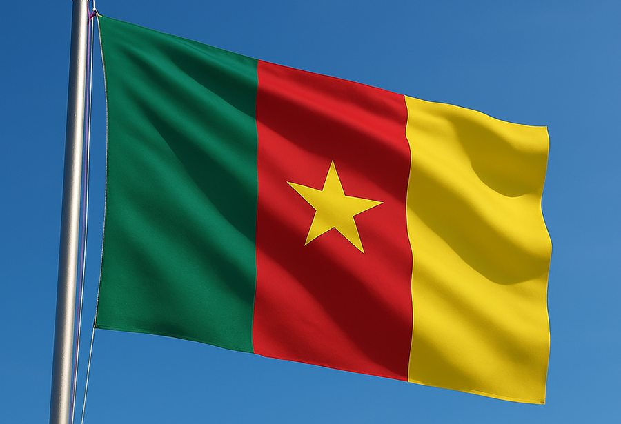 Drapeau camerounais
