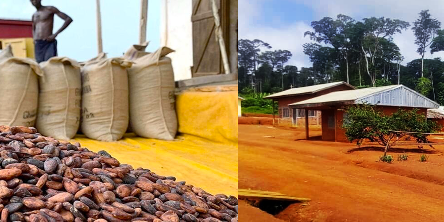 Composition images: à gauche fève de cacao avec en fond 4 sacs de cacao et homme debout. à droit photo d'une route traversant un village
